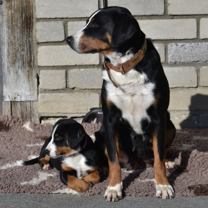 Gina und Fée / Gina et Fée